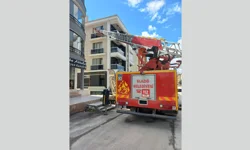 Kanat çırpışları yardım çığlığına dönüştü! Elazığ’da kurtarma operasyonu yapıldı