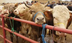 Malatya'da bayram öncesi zam: Fiyatlar yükselecek