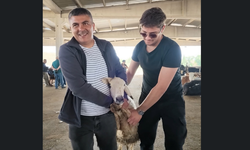 Kurbanlıklar alıcı buldu, yetiştirici bayrama mutlu girdi