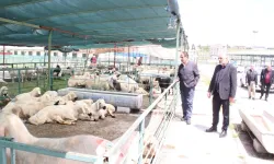 Malatya Canlı Hayvan Pazarı’nda tekelleşme iddiası!