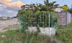 Malatya’da Melekbaba skandalı: Sözler unutuldu, koskoca mahallenin "Babası" harabeye terkedildi!