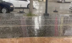 Malatya'da tam 'sedir' zamanı dolu vurdu!