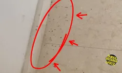 Bahçebaşı TOKİ’lerde sinek ve böcek istilası! Binlerce ailenin yeni yuvası kabusa döndü