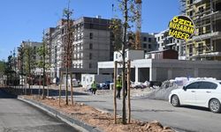 Fuzuli Caddesi’nde ezber bozan değişim! Eski halinden eser yok