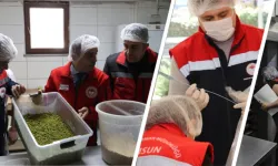 Gıdada "sıfır tolerans" dönemi! Milyonlarca lira ceza yağdı