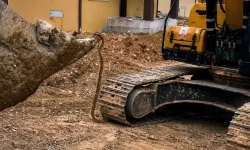 Malatya TOKİ şantiyesinde 3 metrelik yılan paniği!