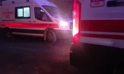 Malatya’da bir avuç dut için akraba kanı aktı: 1’i çocuk 3 yaralı