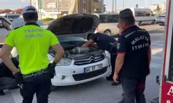 Malatya'da sıra dışı kurtarma: Kediyi kedi sesiyle buldular