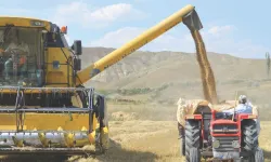 Malatyalı çiftçiye müjde! TMO 2026 buğday ve arpa fiyatlarını açıkladı