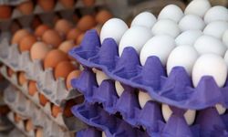 Milyarlarca adet üretildi ama Mart zirvesi aşılamadı! Yumurtada fiyat dengeleri değişiyor mu?