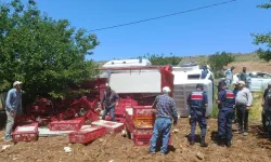 Yeşilyurt’ta canlı tavuk yüklü kamyon devrildi: Çok sayıda telef var!