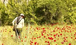 Yıllardır dağların arasında saklıydı: Malatya'nın o ilçesinde uzmanları şaşırtan keşif!