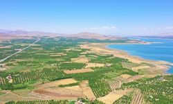 10 milyon kayısı ağacının başkentinde büyük ilan: Sadece festival değil, Malatya eski günlerine dönüyor!