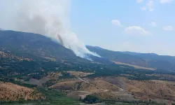 38 araç, 1 helikopter müdahale etti! Pütürge’de ciğerlerimiz yandı