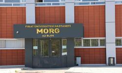 İş makinesinin geri manevrası facia getirdi: Elazığ'da 30 yaşındaki genç kurtarılamadı!