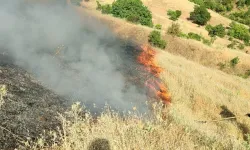 Doğanyol’da ormanlık alanda korkutan yangın! Ekipler seferber oldu