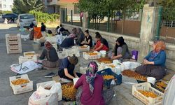 Geçen yıl zirai don, bu yıl ceza korkusu! Malatya’da ‘patik’ yapmak yasaklandı mı?
