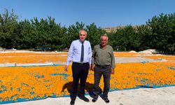 İl Müdürü Osman Akar’dan Darende’de üreticiye saha ziyareti