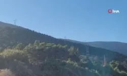 Isparta’daki orman yangınında 10 hektar alan zarar gördü