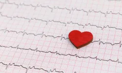 İstatistikler açıklandı: Malatya’da gizli katil tahtını yine kimseye bırakmadı
