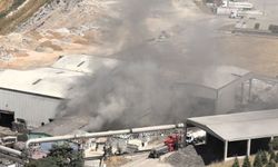 Malatya Katı Atık Bertaraf Tesisi alev alev yandı!