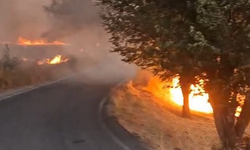 Malatya Tohma'da korkutan yangın: İtfaiye ekipleri hızla müdahale etti