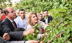 Malatya’da "Tarladan Geleceğe" projesi Yeşilyurt’ta hayata geçti