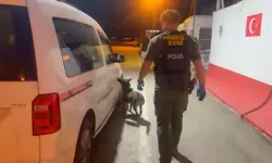 Narkotik köpeği tepki verdi, yasaklı madde bakın nerede bulundu