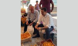 Sabah isteyip akşamına kavuştular! Malatya’da kayısı patiği yapan kadınları sevindiren hamle