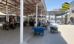 Şire Pazarı’nda kayısı fiyatları neden düşüyor? Esnaf 1 Ağustos’u işaret etti!