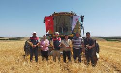 Yeşilyurt’ta nohut hasadı başladı: Malatya’da 500 ton rekolte bekleniyor!