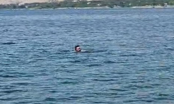 Baskil'den girdi, Kale'den çıktı: Fırat'ın sularında büyük başarı