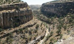 Doğu Anadolu’nun ortasında gizli bir vaha! Malatya’daki bu kanyon ezber bozuyor
