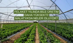 Felaket yılında bile üretim daha yüksekti! Malatya’da neler oluyor?