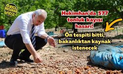 Hekimhan'da 577 tonluk kayısı hasarı! Ön tespiti bitti, bakanlıktan kaynak istenecek