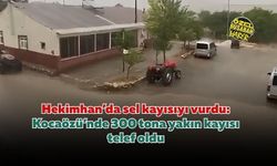 Hekimhan’da sel kayısıyı vurdu: Kocaözü’nde 300 tona yakın kayısı telef oldu