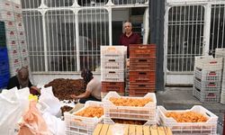 Kayısıda kritik eşik: Şire Pazarı'ndan TMO için "Artık bekleyecek zaman kalmadı" çağrısı