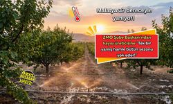 Malatya 37 dereceyle yanıyor! ZMO Şube Başkanı'ndan kayısı üreticisine: "Tek bir yanlış hamle bütün sezonu yok eder!"