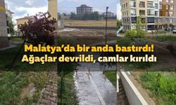 Malatya’da bir anda bastırdı! Ağaçlar devrildi, camlar kırıldı
