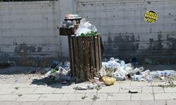 Malatya’da bir dolmuş durağının içler acısı hali: Çöpü çok, kokusu bol, yetkilisi yok!
