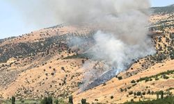 Pütürge’de yangın: Ekipler alevlerle mücadele ediyor