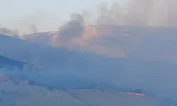 Pütürge'deki arazi yangını kontrol altına alındı! Vali Yavuz'dan çağrı