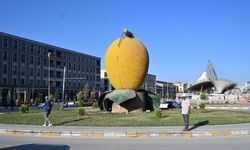 TÜİK tersine göç haritasını çizdi: Bütün Malatyalılar kütüğüne dönse Doğu’nun megakenti oluyor!