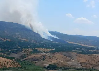38 araç, 1 helikopter müdahale etti! Pütürge’de ciğerlerimiz yandı