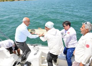 İsviçre’den Malatya’ya balık tutmaya geldiler! Karakaya’da 500 bin TL'lik turna avı
