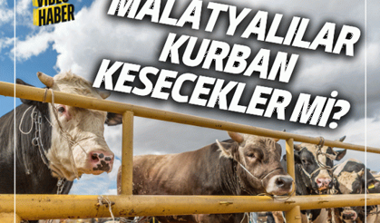 Malatyalılar kurban kesecekler mi?