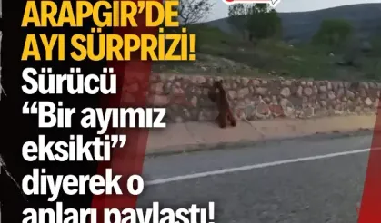 Arapgir’de ayı sürprizi! Sürücü “Bir ayımız eksikti” diyerek o anları paylaştı!