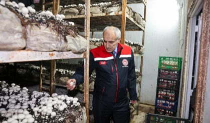 Malatya’da mantar üretimi artıyor