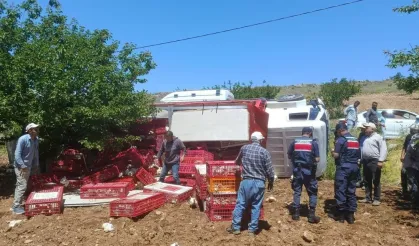 Yeşilyurt’ta canlı tavuk yüklü kamyon devrildi: Çok sayıda telef var!