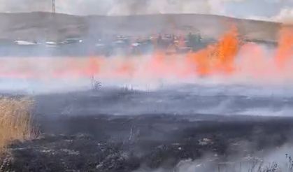 Darende’de buğday tarlasında yangın çıktı